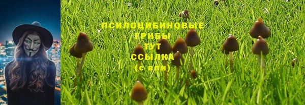 меф Белокуриха