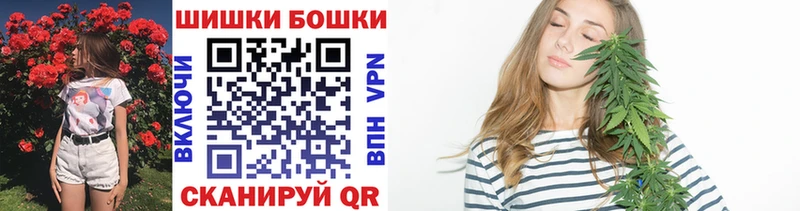 Шишки марихуана сатива  купить  цена  Сланцы 